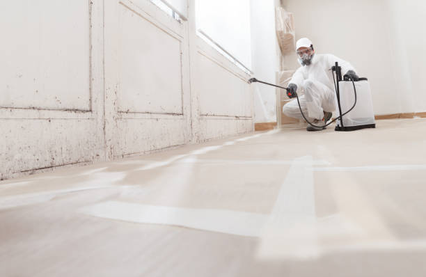24/7 Emergency Mold Testing experts in Wilmington, NC